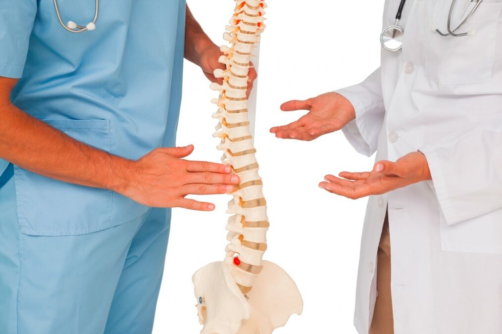 El doctor muestra la estructura de la columna en un modelo.